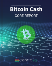BCH Investment report